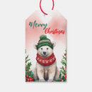 Suche nach polar geschenkanhänger Aquarell