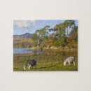 Suche nach lake district puzzle Vereinigtes königreich