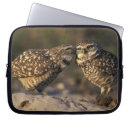 Suche nach owl laptop schutzhüllen Tierwelt