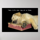 Suche nach goldene retriever poster Jede person