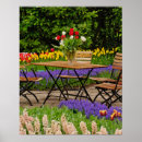 Suche nach keukenhof poster Blüte