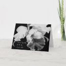 Suche nach cattleya karten Foto