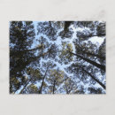 Suche nach perspektive postkarten Himmel