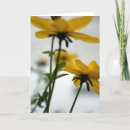 Suche nach garten blume karten Weiß
