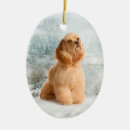 Suche nach cocker spaniel ornamente Haustier