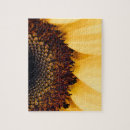 Suche nach sonne blume puzzle Sonnenblume