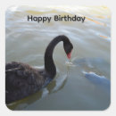 Suche nach schwarzer schwan aufkleber Für alle