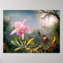 Suche nach vintage orchideen poster Kolibris