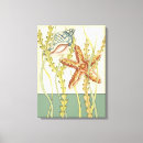 Suche nach seashell leinwandbilder Seehecht