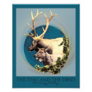 Suche nach elch foto poster Tierwelt