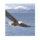 Suche nach flug notizblock Raubtier