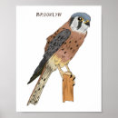 Suche nach amerikanischer vogel poster Raubvogel