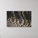 Suche nach afghanisch leinwandbilder Afghanistan