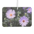 Suche nach blüten autozubehör Blume