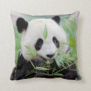 Suche nach cute animals kissen Jede person