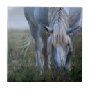 Suche nach selektiver fokus fliesen Fotografie