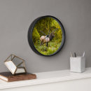 Suche nach elk wanduhren Tierwelt