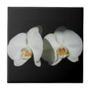Suche nach weiße blume fliesen Orchideen