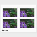 Suche nach clematis aufkleber Natur
