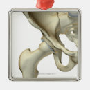 Suche nach körperteile ornamente Kleinbetrieb