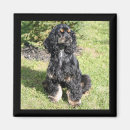 Suche nach cocker spaniel magnete Dog