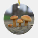 Suche nach rollstuhl ornamente Pilz