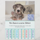 Suche nach welpen flyer Jede person