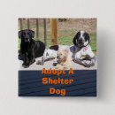 Suche nach tierheim buttons Hunde