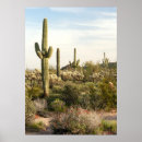 Suche nach arizona kaktus poster Natur