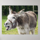 Suche nach auf dem esel poster Im freien