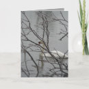 Suche nach schneewittchen karten Winter