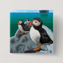 Suche nach alaska buttons Kreuzfahrt