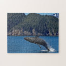Suche nach buckelwal puzzle Ozeane