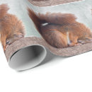 Suche nach nagetiere geschenkpapier Eichhörnchen