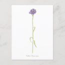 Suche nach bachelor postkarten Jede person