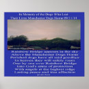 Suche nach haustierartikel Haustiere