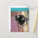 Suche nach fuzzy postkarten Fotografie