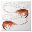 Suche nach louisiana fliesen Krebse