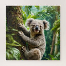 Suche nach niedlicher koala puzzle Australien