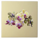 Suche nach orchid untersetzer Gelb