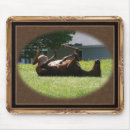 Suche nach pferdeartig mousepads Colt