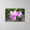 Suche nach rosa orchidee leinwandbilder Orchideen