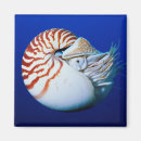 Suche nach übelkeit magnete Ozean