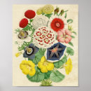 Suche nach vintager blumenstrauß poster Jede person