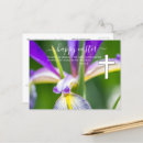 Suche nach religiöser postkarten Gäste