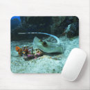 Suche nach stingray mousepads Stechen