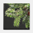 Suche nach tannenbaum magnete Weihnachten