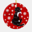 Suche nach schokolade labrador retriever weihnachtsschmuck Jede person