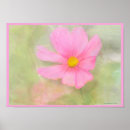 Suche nach cosmos poster Rosa