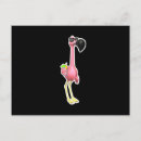 Suche nach lustige flamingo postkarten Vögel